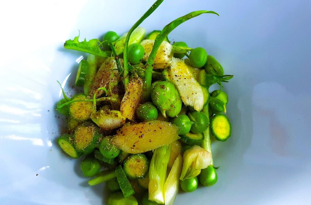INSALATA PRIMAVERA di LEGUMI FRESCHI
