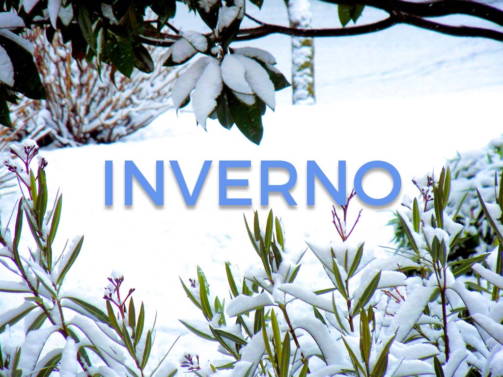 Gusto di Stagione: PRIMAVERA | GUSTOLIGHT